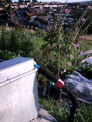 Allotment 003